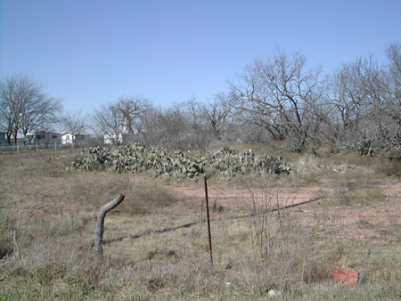 , Brown County, Texas