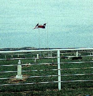 Flags Flying