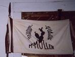 Photo of McMullen County Flag. Click to view a larger photo.