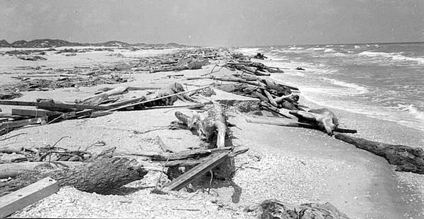 Hurrican Carla damage, 1961, Nueces County, Texas