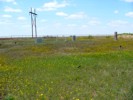 View of the cemetery