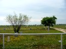 View of cemetery