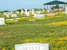 Cemetery view