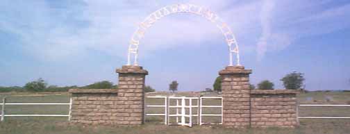 Bradshaw Cemetery, Taylor County, TXGenWeb