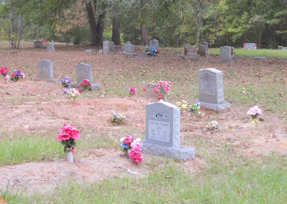 Grant Colony Cemetery, Walker County, Texas