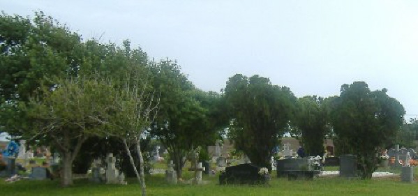 El Toro Cemetery, Willacy County, Texas